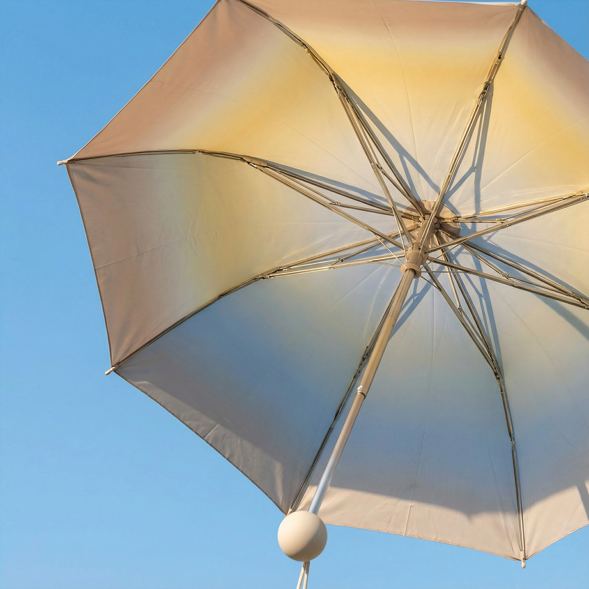 Alto - Édition limitée